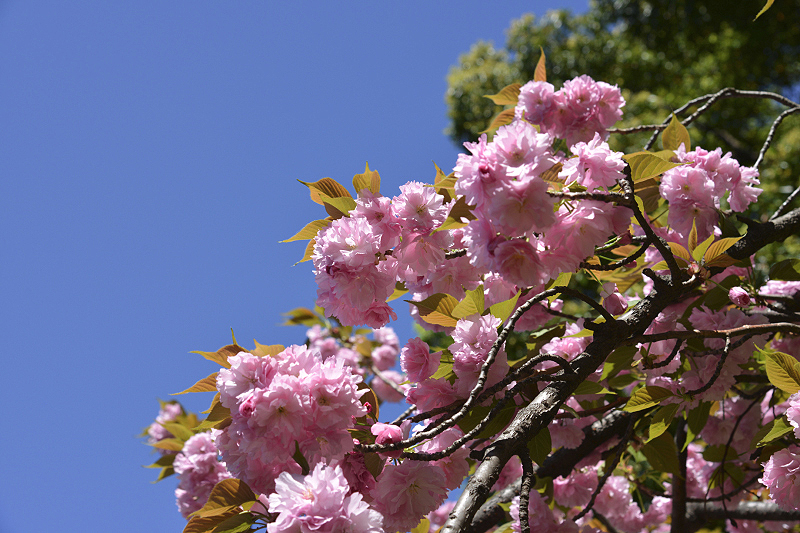 image0115