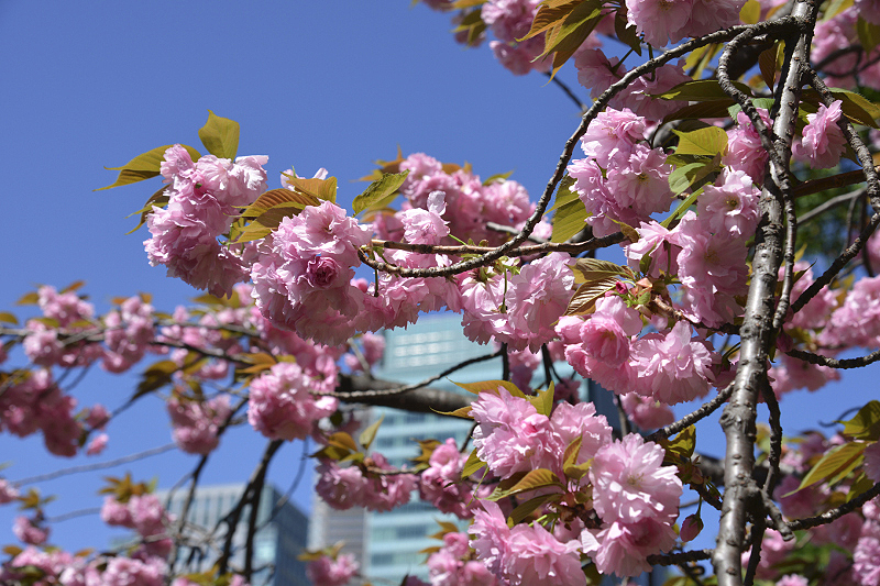 image0116