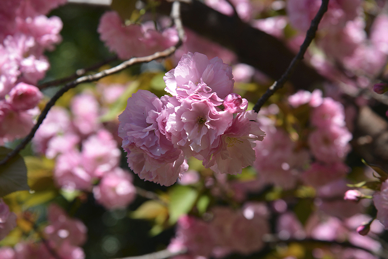 image0117