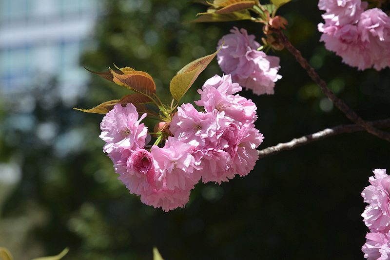 image0118