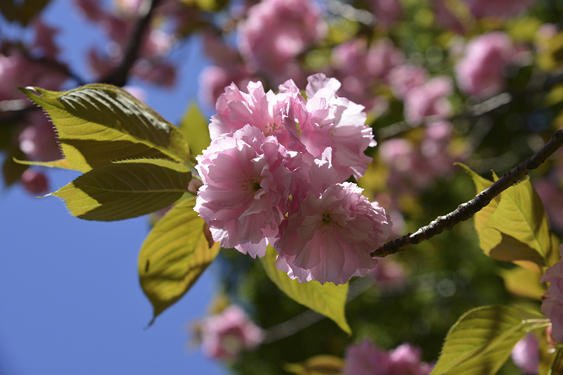 image0123