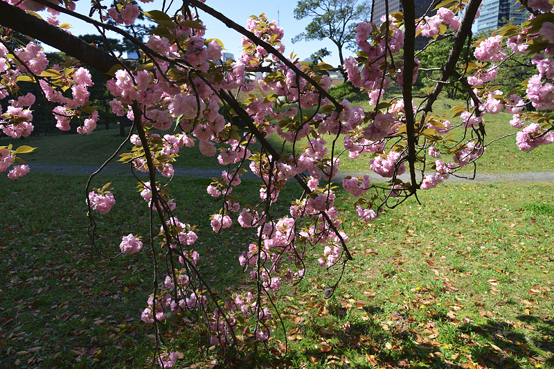 image0124