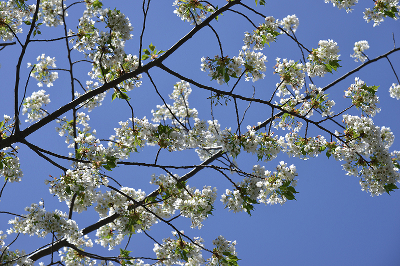 image0125