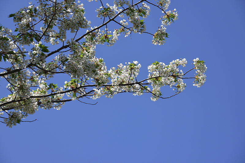 image0126