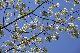 image0125