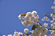 image0128