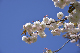 image0129