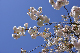 image0133