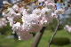 image0136