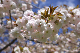 image0137
