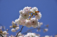 image0139