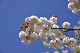 image0141