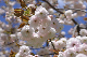 image0142
