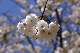 image0143