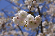 image0144
