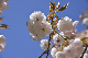image0145