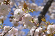 image0147