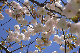 image0149