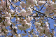 image0150