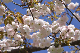 image0154