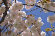 image0155