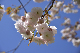 image0157