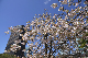 image0159