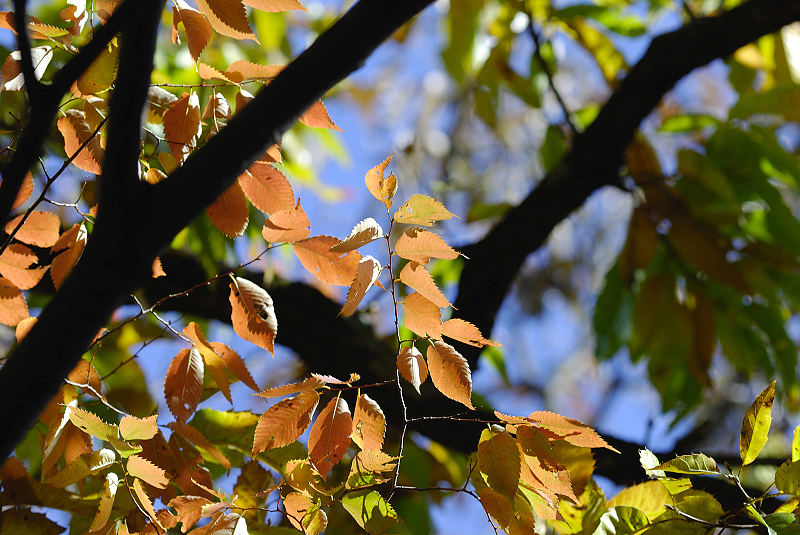 image0261