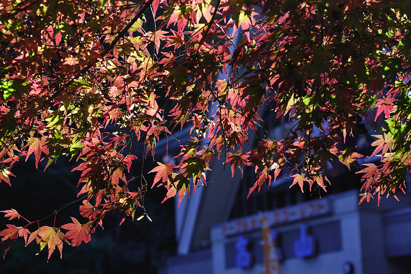 image0419