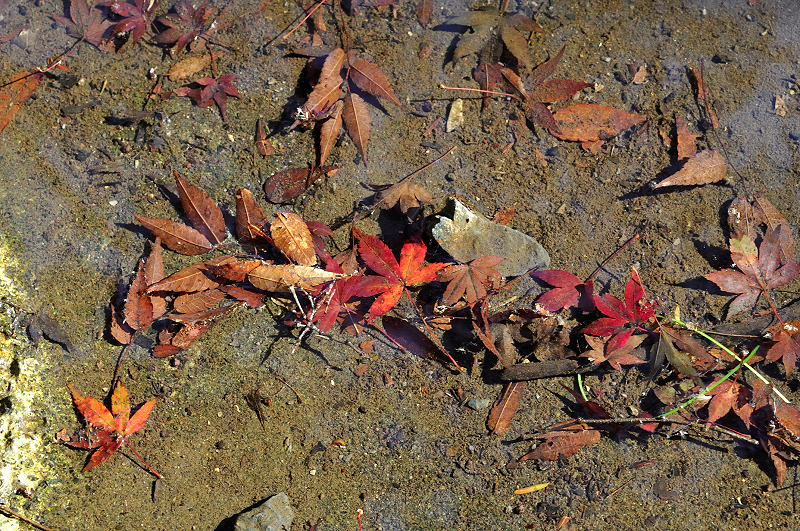image0110