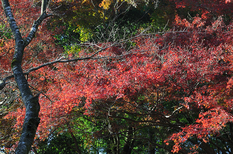 image0117