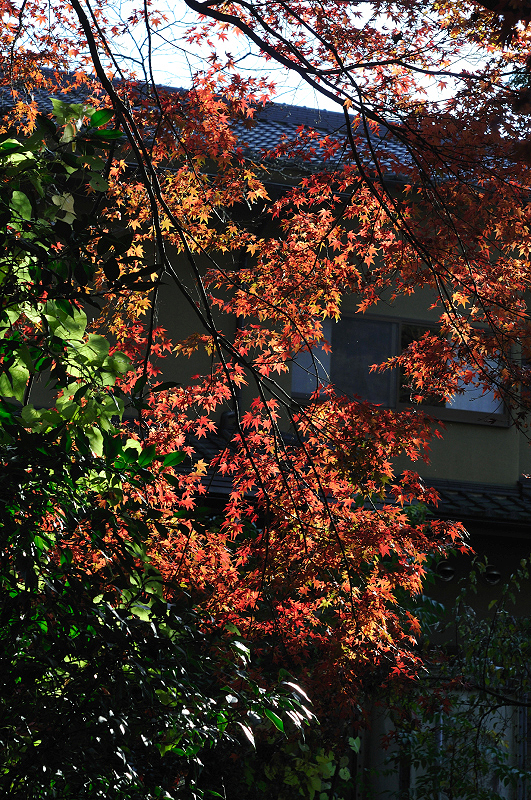 image0123