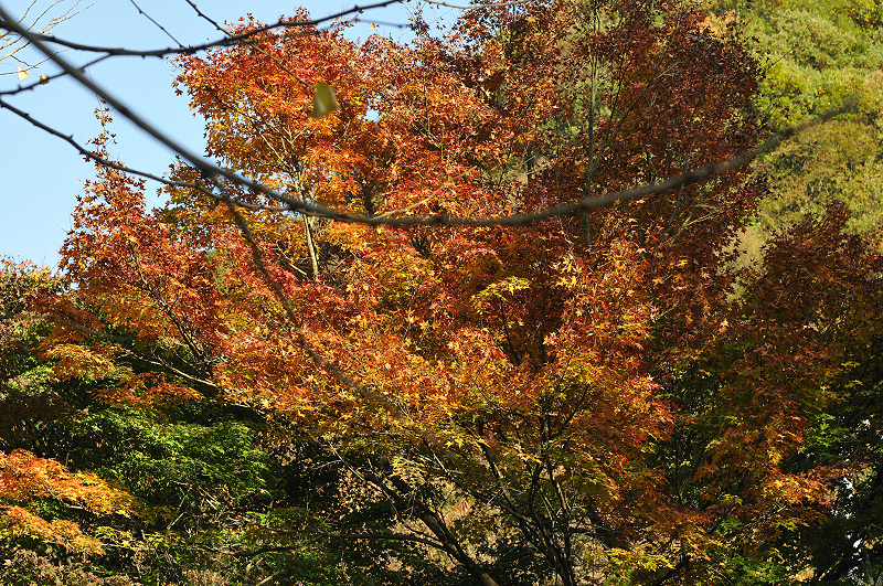 image0134