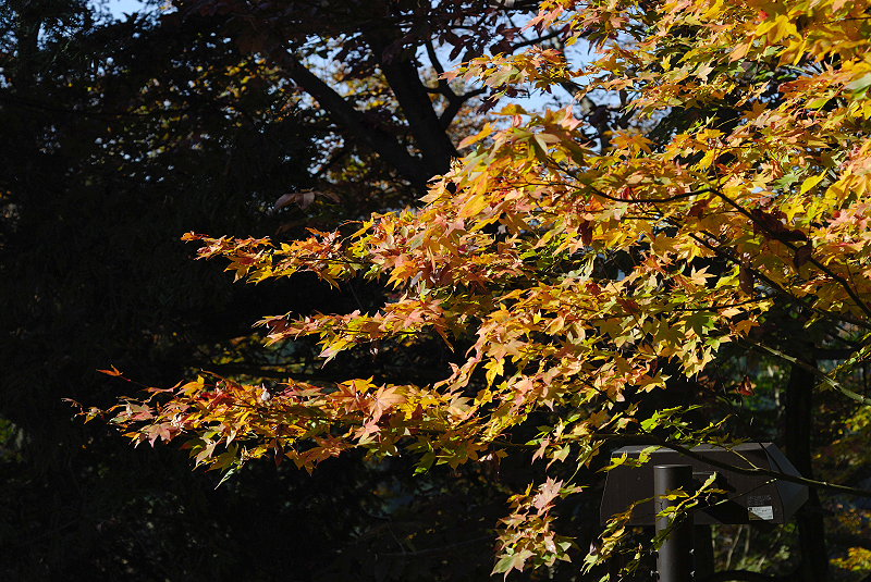 image0336