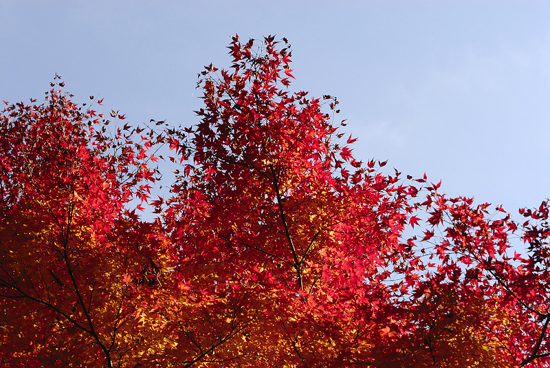 image0370