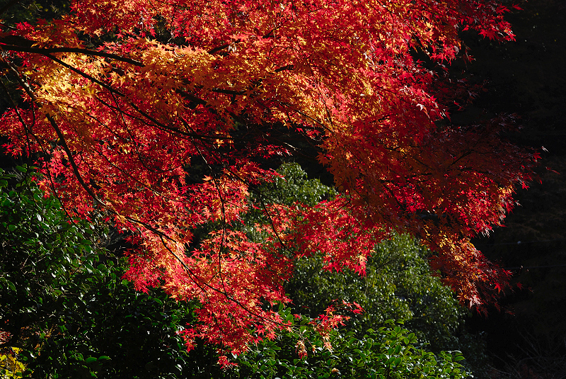 image0373