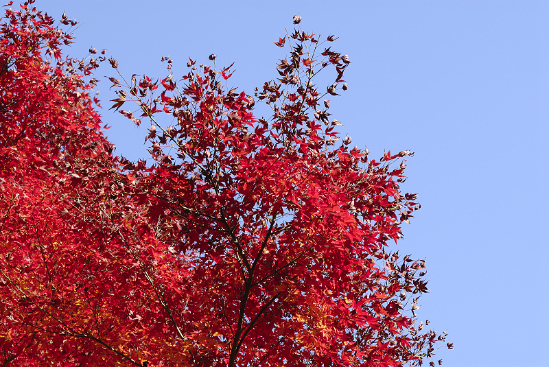 image0374