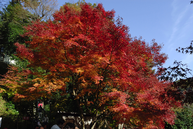 image0376