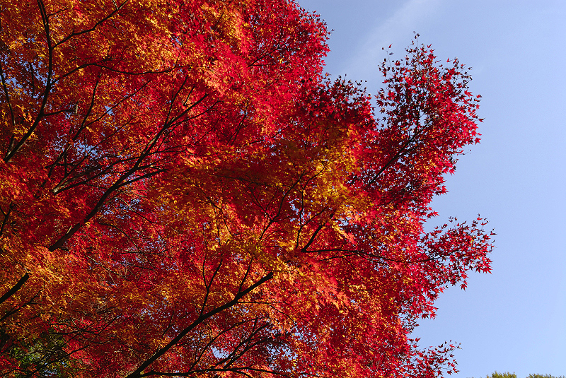 image0377