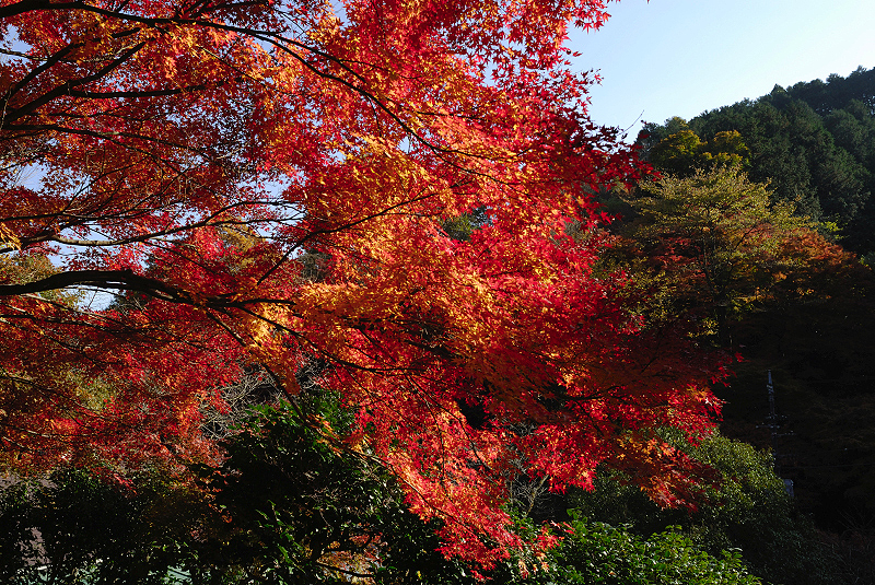 image0379