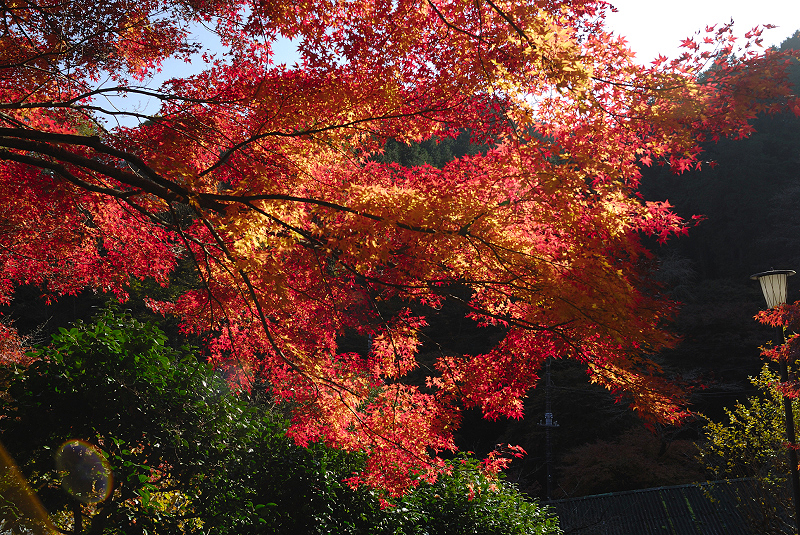 image0381