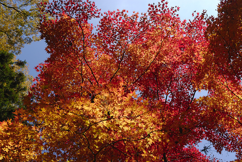 image0382