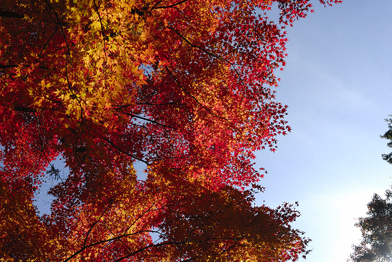 image0383