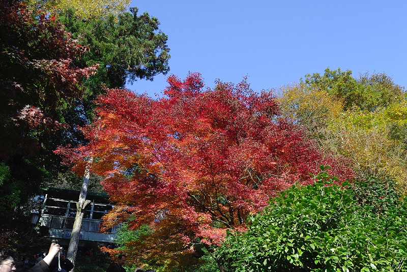 image0388