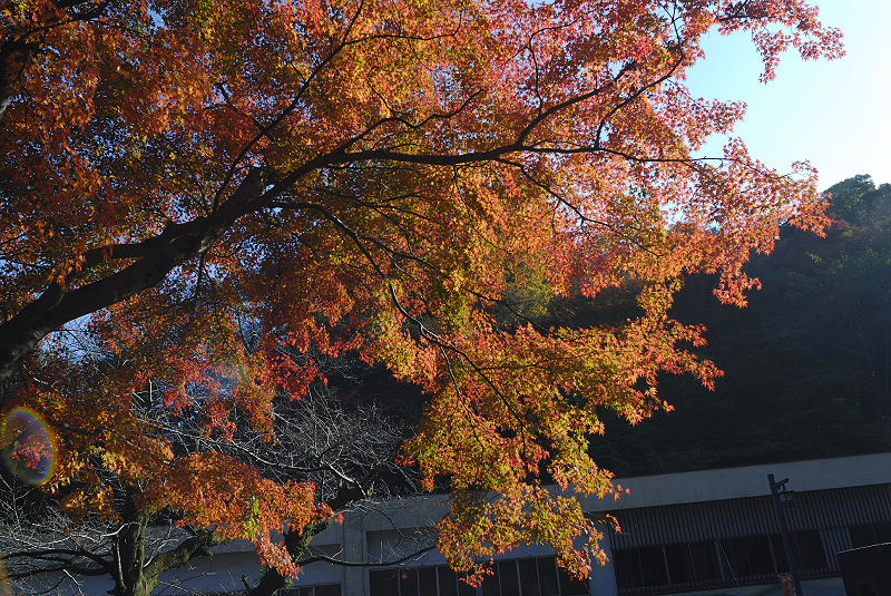 image0389