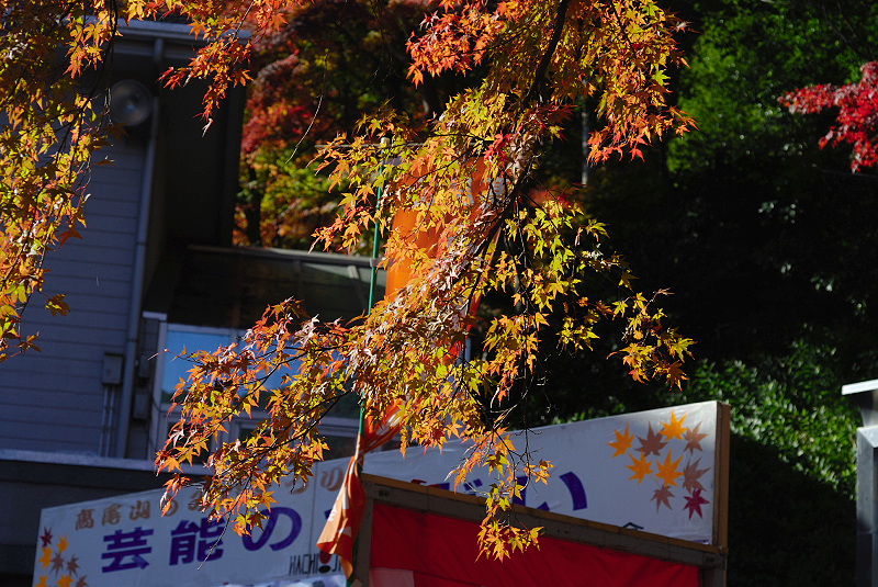 image0394