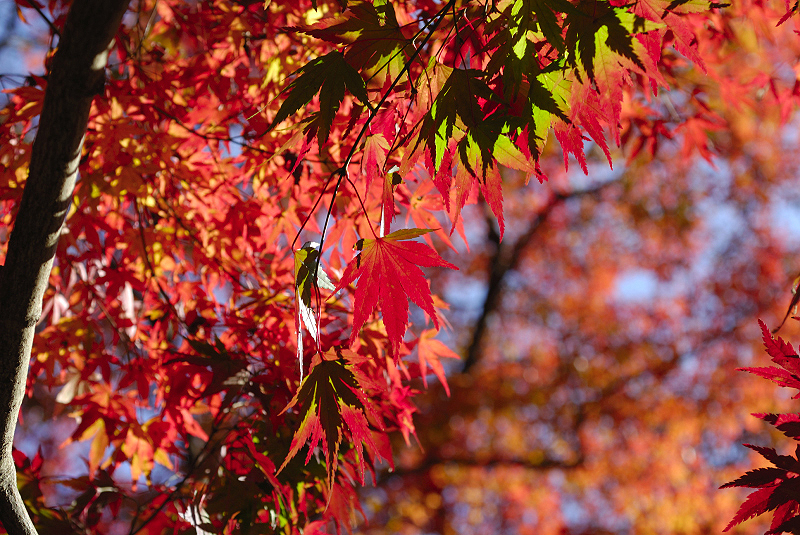 image0399