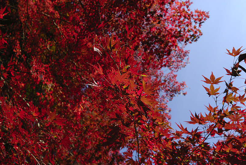 image0403