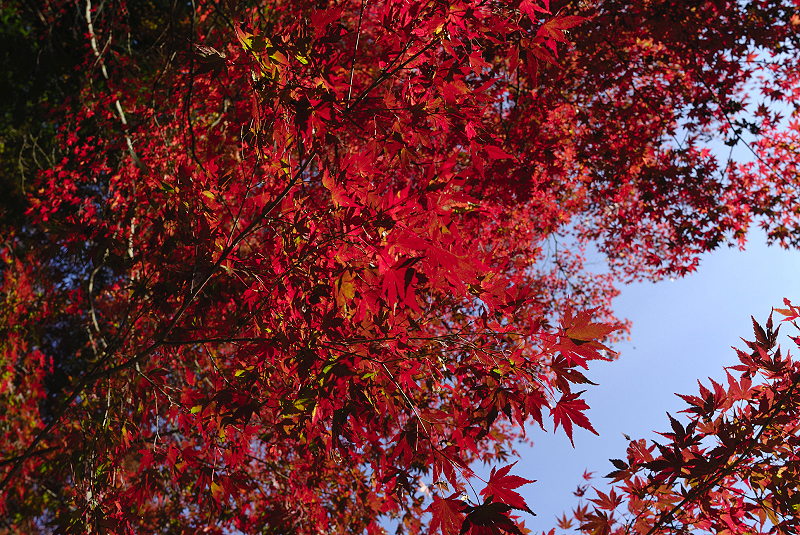 image0404