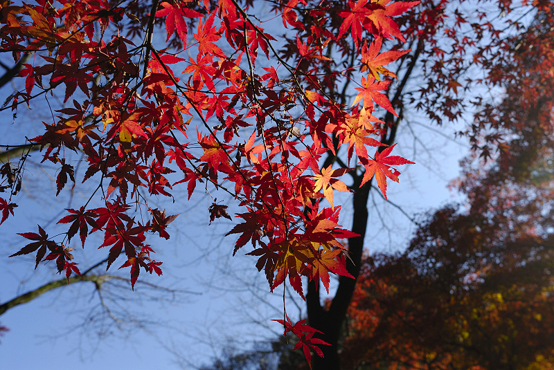 image0406